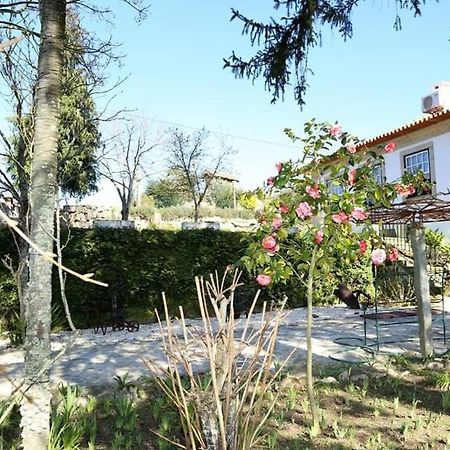 Quinta De Vila Verde- Paixao Ancestral, Turismo Rural Marco de Canavezes Buitenkant foto