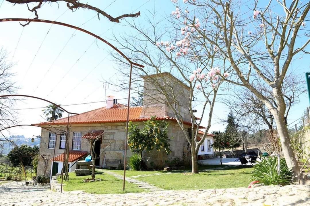 Quinta De Vila Verde- Paixao Ancestral, Turismo Rural Marco de Canavezes Buitenkant foto